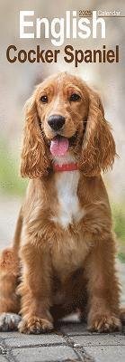 English Cocker Spaniel Slim Calendar 2025 Dog Breed Slimline Calendar - 12 Month (Calendar) (2024)