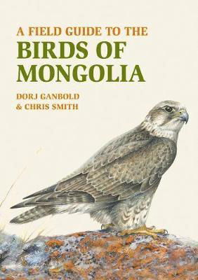 Cover for Dorj Ganbold · A Field Guide to the Birds of Mongolia (Paperback Book) (2019)