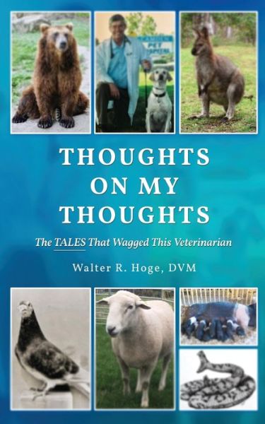 Cover for Walter Hoge · Thoughts on My Thoughts (Buch) (2022)