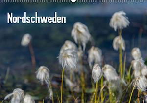 Cover for Jacob · Nordschweden (Wandkalender 2020 D (Bog)