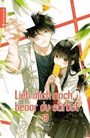 Cover for Sora · Lieb mich noch, bevor du stirbst 13 (Book) (2022)