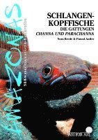 Cover for Nora Brede · Art für Art: Schlangenkopffische (Paperback Book) (2010)