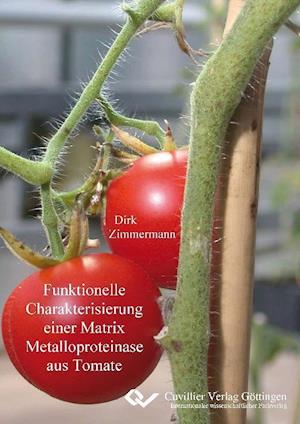 Cover for Dirk Zimmermann · Funktionelle Charakterisierung einer Matrix Metalloproteinase aus Tomate (Paperback Book) (2011)