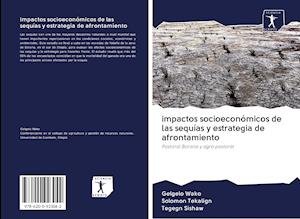 Cover for Wako · Impactos Socioeconómicos De Las Se (Book)