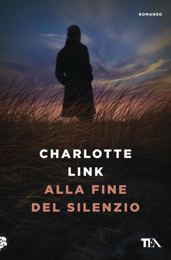 Alla Fine Del Silenzio - Charlotte Link - Książki -  - 9788850247042 - 