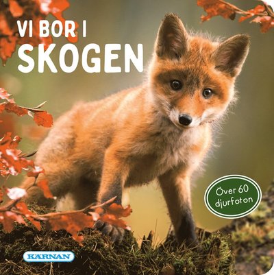 Vi bor i skogen (Buch) (2025)