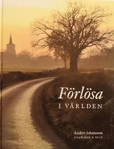 Förlösa i världen - Anders Johansson - Książki - Solvändan Förlag - 9789188499042 - 10 stycznia 2018