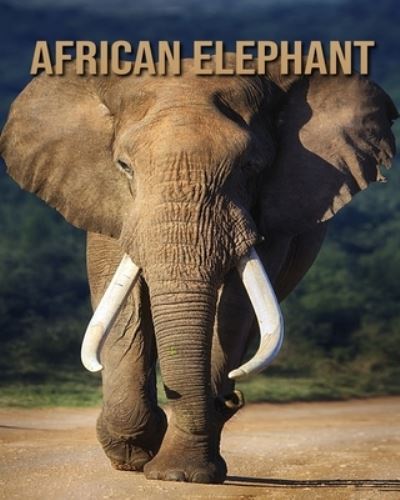 Cover for William Doyle · African elephant (Paperback Book) (2020)