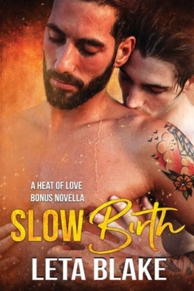 Cover for Leta Blake · Slow Birth (Book) (2023)