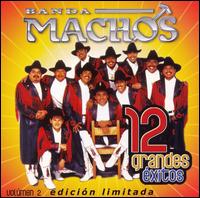 12 Grandes Exitos 2-Banda Machos - Banda Machos - Musik - WEA Latina - 0825646998043 - 3. april 2007