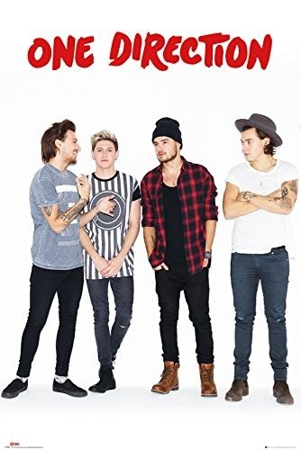 One Direction: New Group (Poster Maxi 61x91,5 Cm) - One Direction - Koopwaar -  - 5028486295043 - 