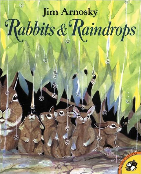 Cover for Jim Arnosky · Rabbits and Raindrops (Hardcover Book) (2001)