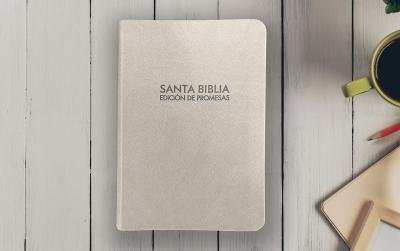 Cover for Unilit · Santa Biblia de Promesas Reina Valera 1960 / Compacta / Piel Especial Color Gris (Pocketbok) (2021)