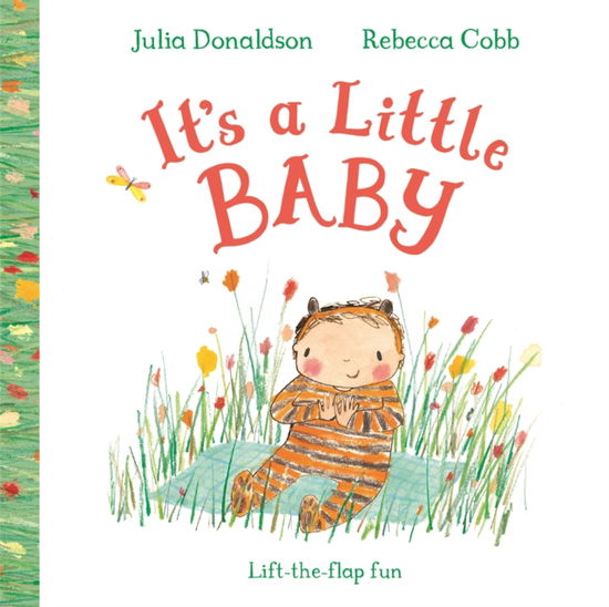 Cover for Julia Donaldson · It's a Little Baby (Board book) (2025)