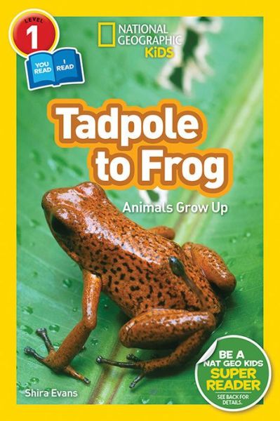 Cover for Shira Evans · National Geographic Readers: Tadpole to Frog (L1/Co-reader) - Readers (Hardcover Book) (2018)