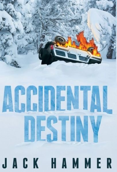Cover for Jack Hammer · Accidental Destiny (Hardcover Book) (2014)