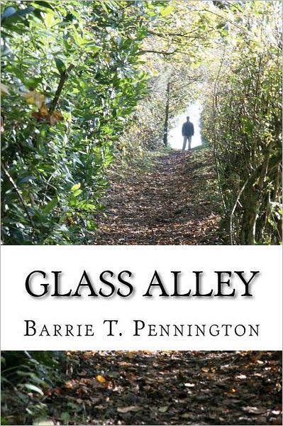 Cover for Barrie T Pennington · Glass Alley (Paperback Book) (2012)