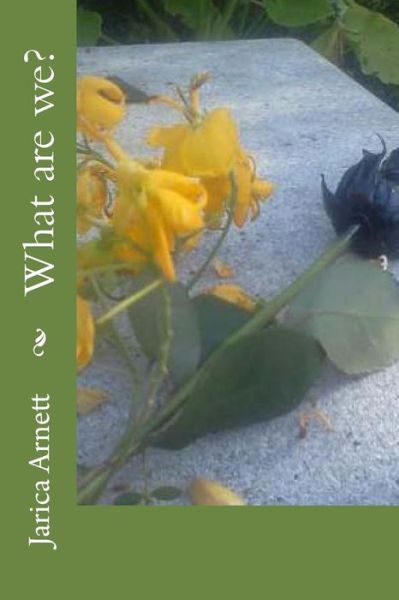 Cover for Jarica Lee Arnett · What Are We? (Paperback Book) (2012)