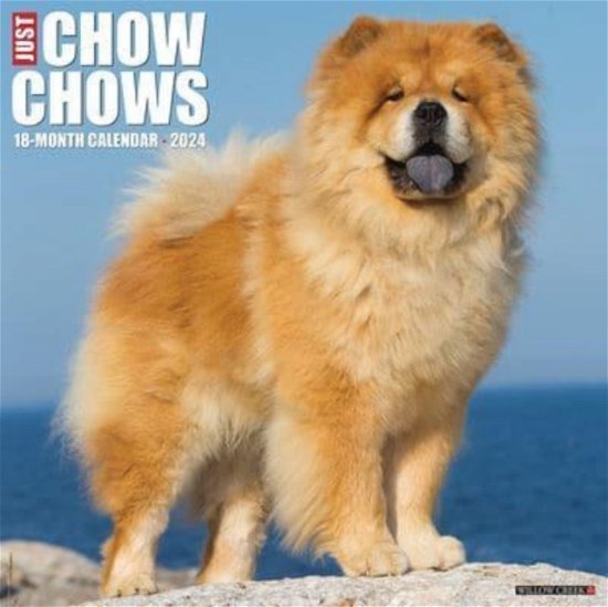 Cover for Willow Creek Press · Just Chow Chows 2024 12 X 12 Wall Calendar (Calendar) (2023)