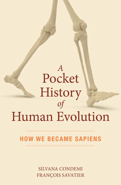 Cover for Silvana Condemi · A Pocket History of Human Evolution (Paperback Book) (2019)