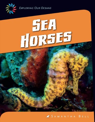 Cover for Samantha Bell · Sea Horses (21st Century Skills Library: Exploring Our Oceans) (Hardcover Book) (2014)