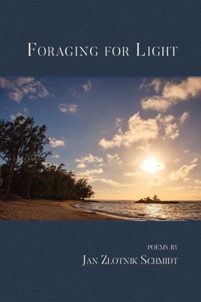 Cover for Jan  Zlotnik Schmidt · Foraging for Light (Paperback Book) (2019)