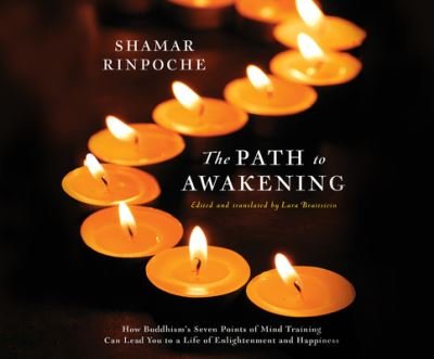 Cover for Leslie Howard · The Path to Awakening (CD) (2019)