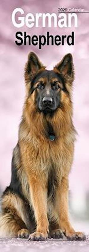 Cover for German Shepherd Slim Calendar 2026  Dog Breed Slimline Calendar - 12 Month (Calendar) (2025)