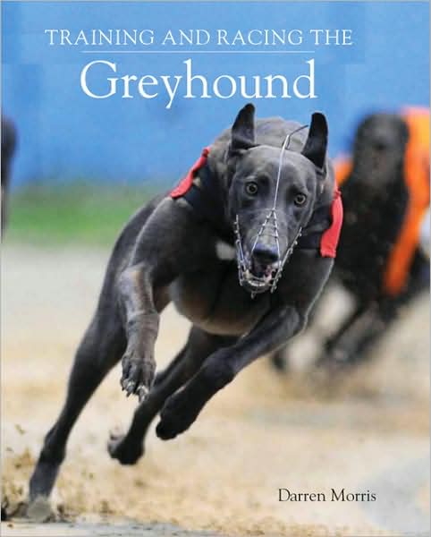 Cover for Darren Morris · Training and Racing the Greyhound (Hardcover Book) (2009)