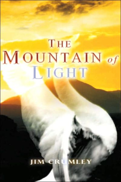 The Mountain of Light - Jim Crumley - Books - Whittles Publishing - 9781904445043 - September 22, 2003