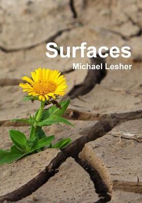 Cover for Michael Lesher · Surfaces (Paperback Book) (2019)