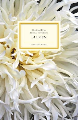 Cover for Gottfried Benn · Blumen (Gebundenes Buch) (2022)