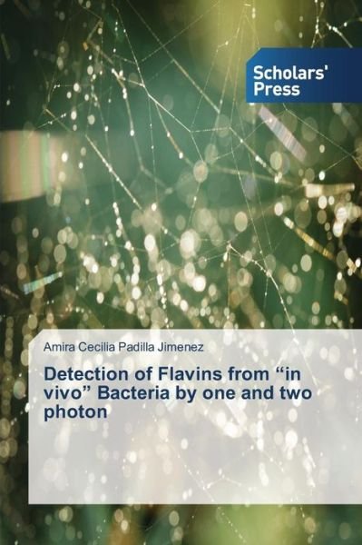 Cover for Padilla Jimenez Amira Cecilia · Detection of Flavins from (Paperback Book) (2015)