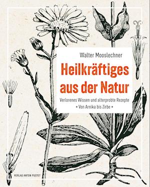 Cover for Walter Mooslechner · Heilkräftiges aus der Natur (Book) (2023)