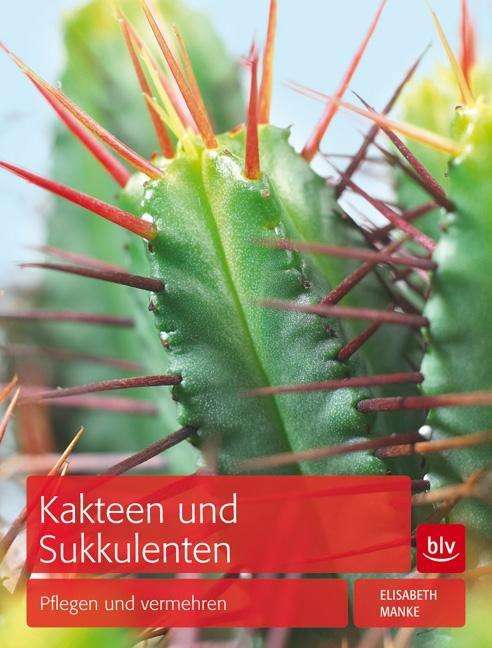 Cover for Manke · Kakteen und Sukkulenten (Book)