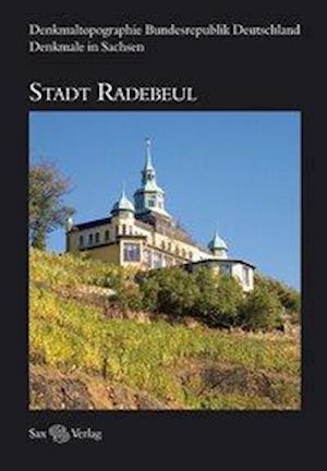 Cover for Volker Helas · Denkmale in Sachsen : Stadt Radebeul (Hardcover Book) (2007)