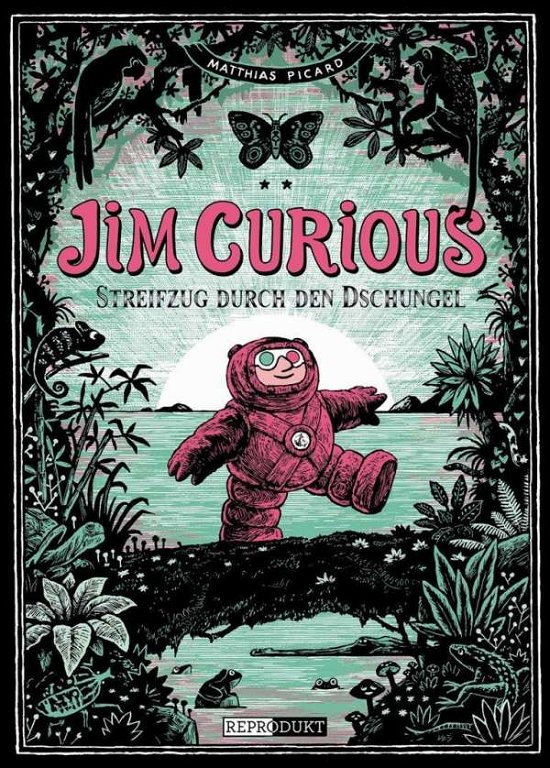 Cover for Picard · Jim Curious - Streifzug durch de (Bog)