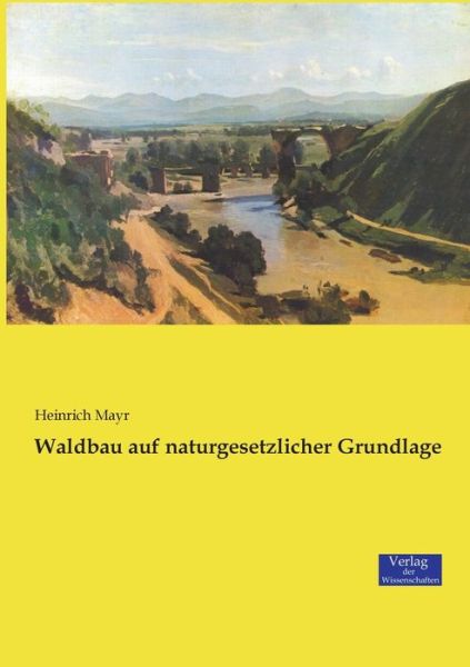 Cover for Heinrich Mayr · Waldbau auf naturgesetzlicher Grundlage (Paperback Book) (2019)