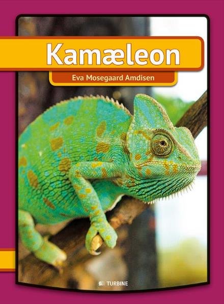 Cover for Eva Mosegaard Amdisen · Min første bog: Kamæleon (Hardcover bog) [1. udgave] (2017)