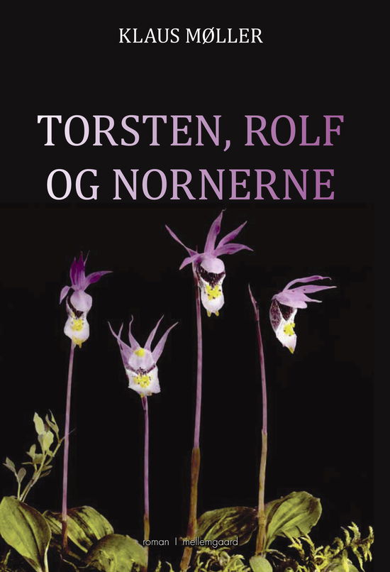 Klaus Møller · Torsten, Rolf og nornerne (Sewn Spine Book) [1st edition] (2024)