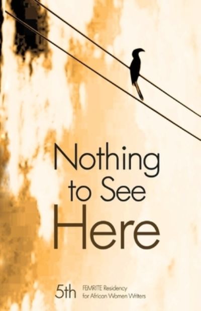 Cover for Hilda Twongyeirwe · Nothing to see here (Book) (2015)