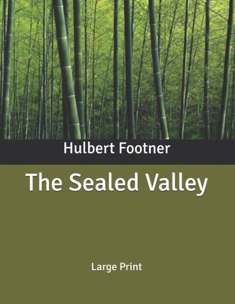 Cover for Hulbert Footner · The Sealed Valley (Paperback Book) (2020)