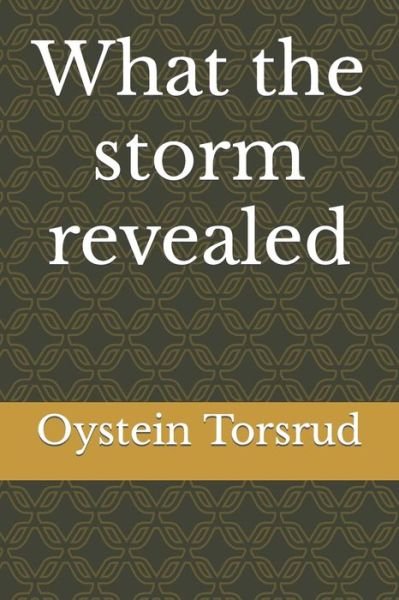 Cover for Oystein Andreas Torsrud · What the storm revealed (Paperback Book) (2020)