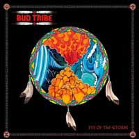 Cover for Bud Tribe · Eye of the Storm (LP) (2013)