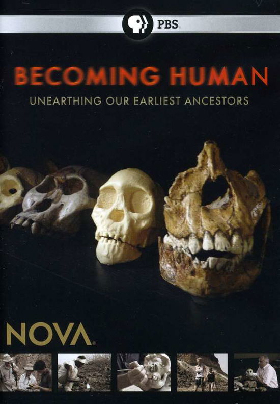 Cover for Nova: Becoming Human (DVD) (2010)