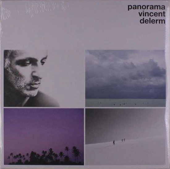 Cover for Vincent Delerm · Panorama (LP) (2019)