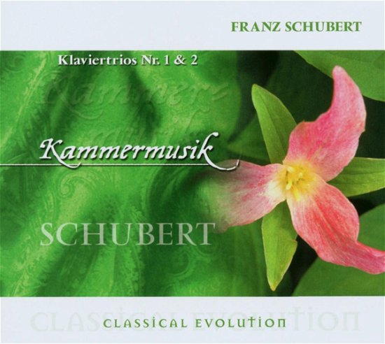 Piano Trios - Chamber Music - Schubert - Muziek - DELTA - 4006408183044 - 