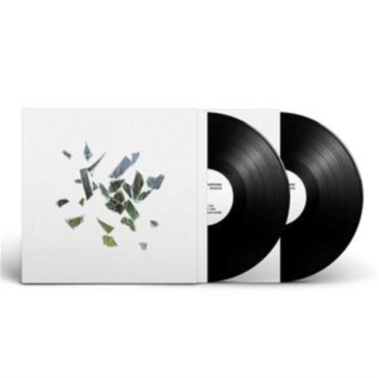 Field Of Reeds (10th Anniversary Edition) (Etched Vinyl) - These New Puritans - Musiikki - BMG - 4050538944044 - perjantai 10. marraskuuta 2023