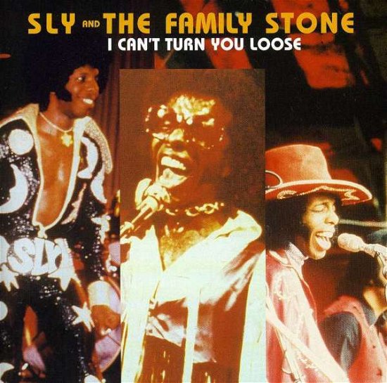 I Can't Turn You Loose - Sly & the Family Stone - Musik - SOULSHINE - 5022221950044 - 6. juni 2006