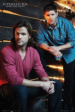 Cover for Supernatural · Supernatural: Gb Eye - Brothers (Poster Maxi 61x91.5 Cm) (MERCH)
